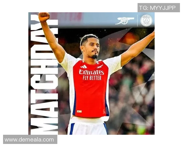 澳洲足球明星的辉煌历程与成就解析,谁才是最闪耀的那颗星